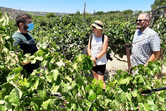 Heraklion Wine Tour & Cretan Meze Lunch - Pricing and Cancellation