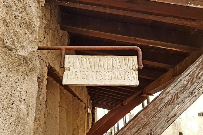 Herculaneum Private Two-hour Tour With A Real Archaeologist - Experience Recommendations