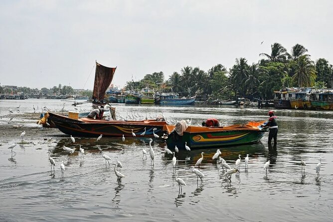 Heritage & Cultural Walk Around Negombo - Booking Process and Options