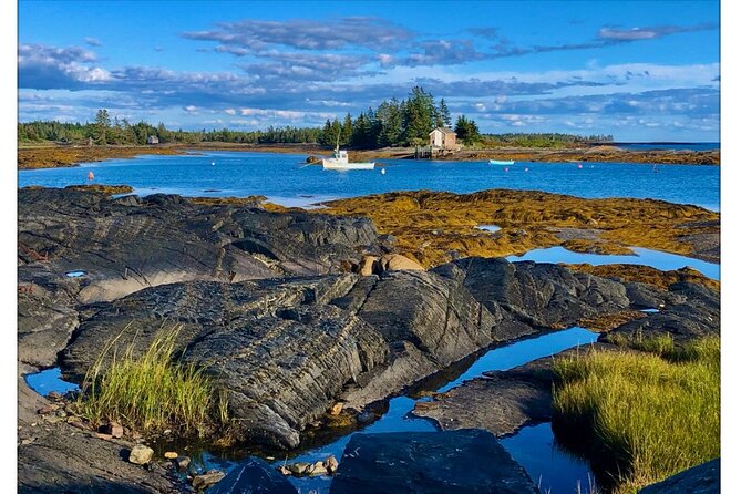 Hidden Gems Tour Lunenburg - Traveler Feedback and Reviews