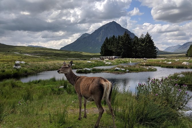Highlands Private One Day Tour of Scotland - Pickup and Accessibility Information