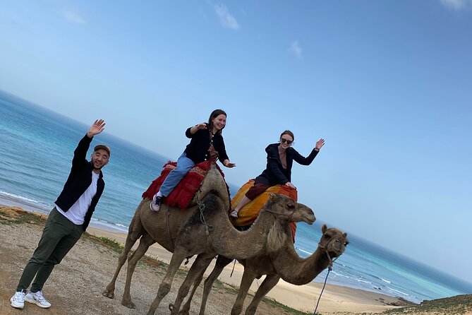 Highlights of Tangier Half Day Tour - Cap Spartel