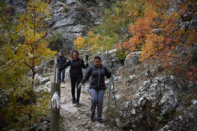 Hike Along the Gollizno Route - Participant Reviews