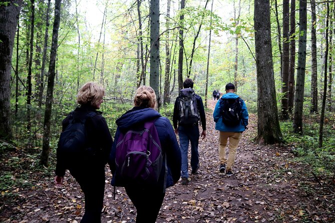 Hike In Gauja National Park - Up And Down The Switzerland Of Latvia - Booking Information