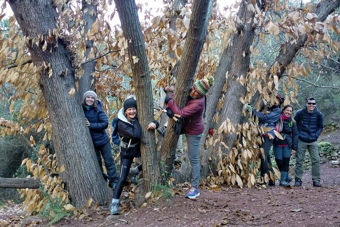 Hike the Cork Oak Trail and Try Some Delicious Cheese - Enjoy Panoramic Countryside Views