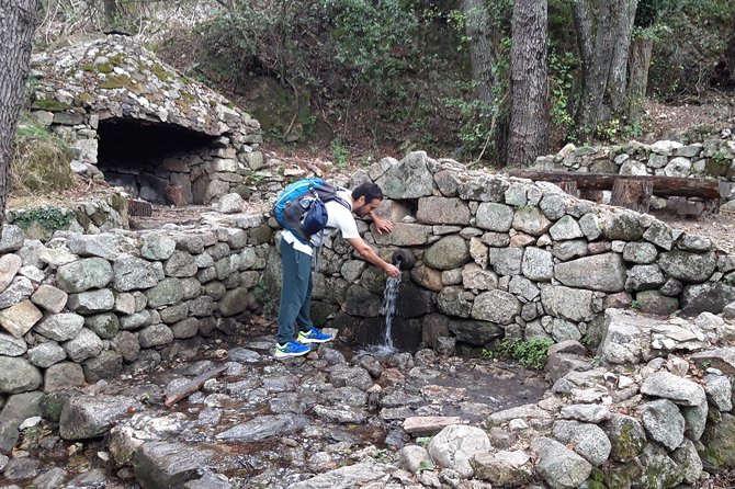 Hike to Gorropu Canyon Review - Encountering Local Wildlife