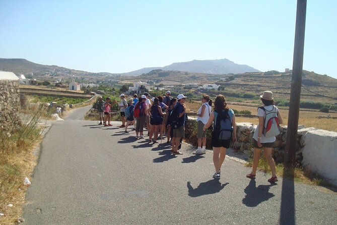 Hiking Adventure in Mykonos With Lunch Option - Cancellation and Pickup Policies