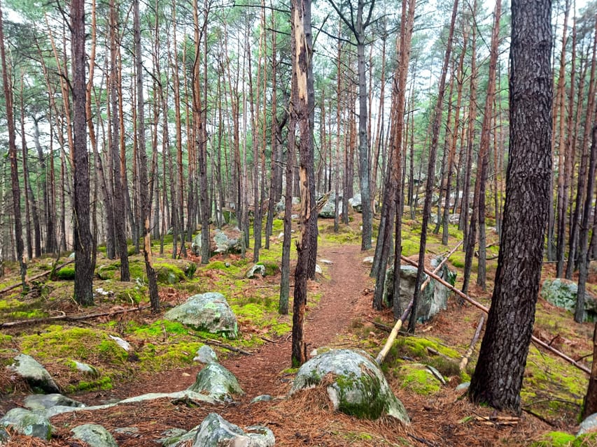 Hiking Adventure in the Fontainebleau Forest - What to Bring