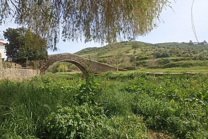 Hiking and Wine Tasting Experience - Pricing and Package Details