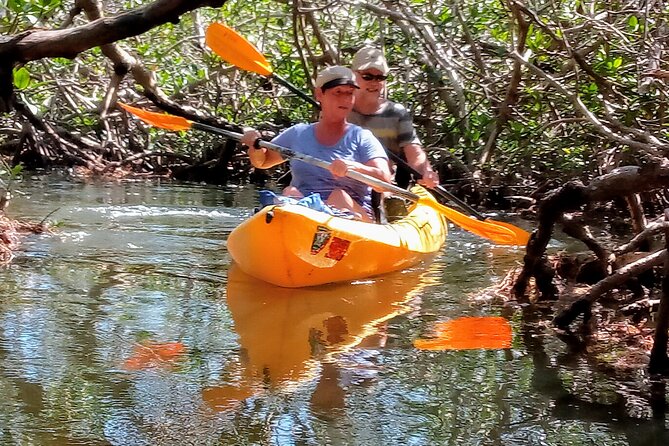 Hiking + Kayaking Tour in Everglades National Park W/ Wet Walk! - Activities and Wildlife Sightings