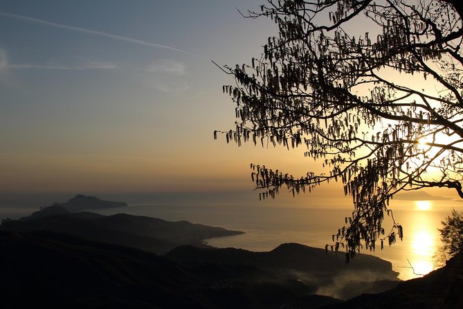 Hiking on Faito Mountain From Sorrento - Traveler Reviews Analysis