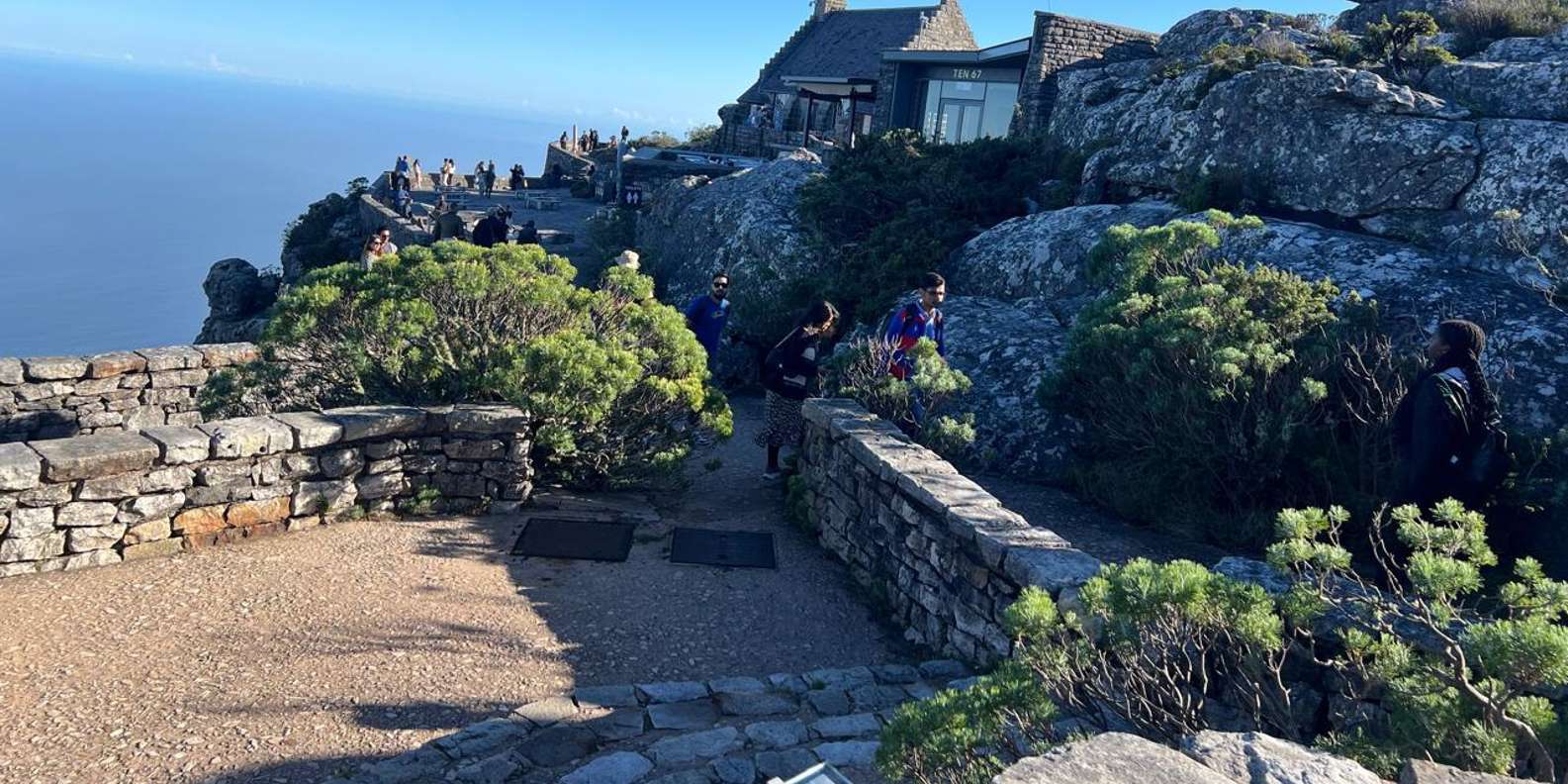 Hiking Table Mountain in Cape Town on a Private Day Trip - Discovering the Fynbos Vegetation