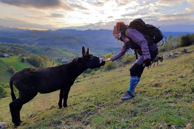 Hiking Thought the Best Mountain Villages in Romania-Private Tour From Brasov - Moderate Fitness Level Required