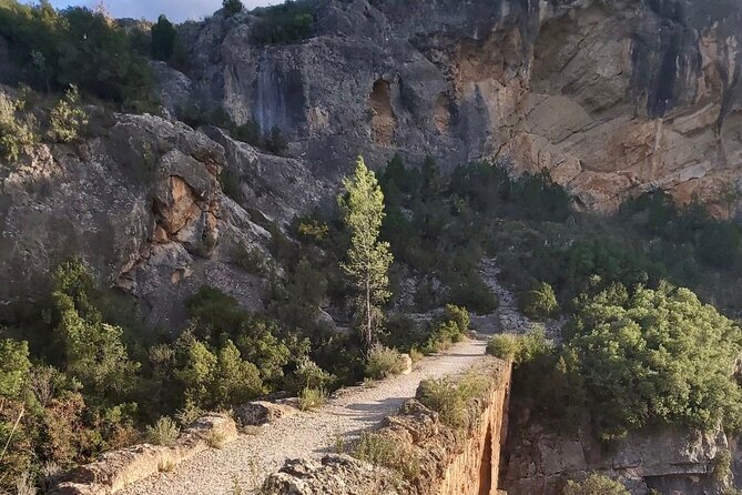 Hiking Tour of the Roman Aqueduct of Peña Cortada and Water Route - Accessibility and Requirements