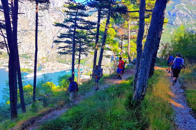 Hiking Vrmac Peninsula With Panoramic View on Kotor Bay - Meeting and Pickup Details