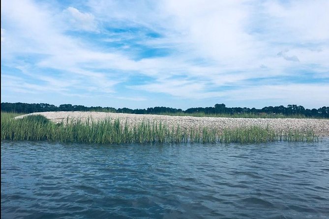 Hilton Head Morning Kayaking & Coffee Guided Tour - Participant Requirements