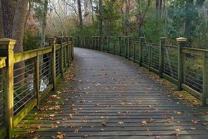 Hilton Head Segway Tropical Pathway Ride (90 Minutes) - Participation Guidelines