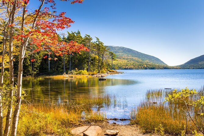 Historic Bar Harbor Self-Guided Walking Audio Tour Guide - Reviews and Ratings