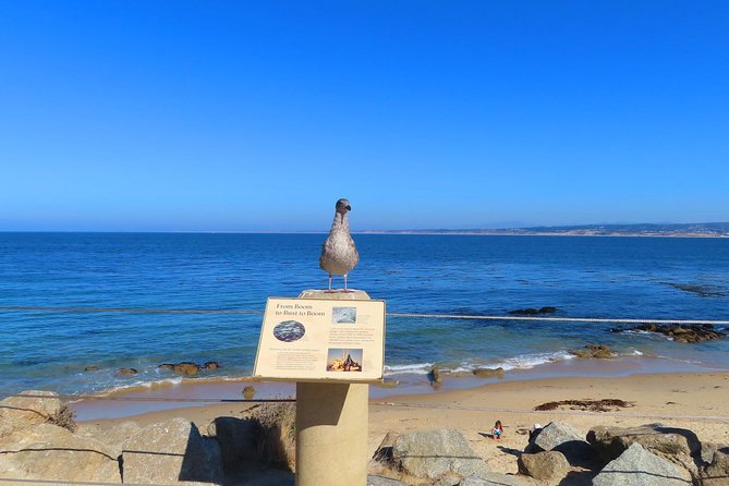 Historic Cannery Row: A Self-Guided Audio Tour of John Steinbecks Monterey - Meeting and Ending Points