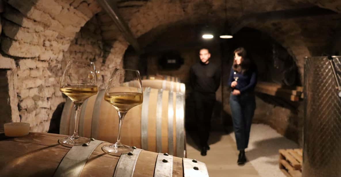 Historic Center of Dijon : Discovery Tasting Wine Burgundy - Participant Information