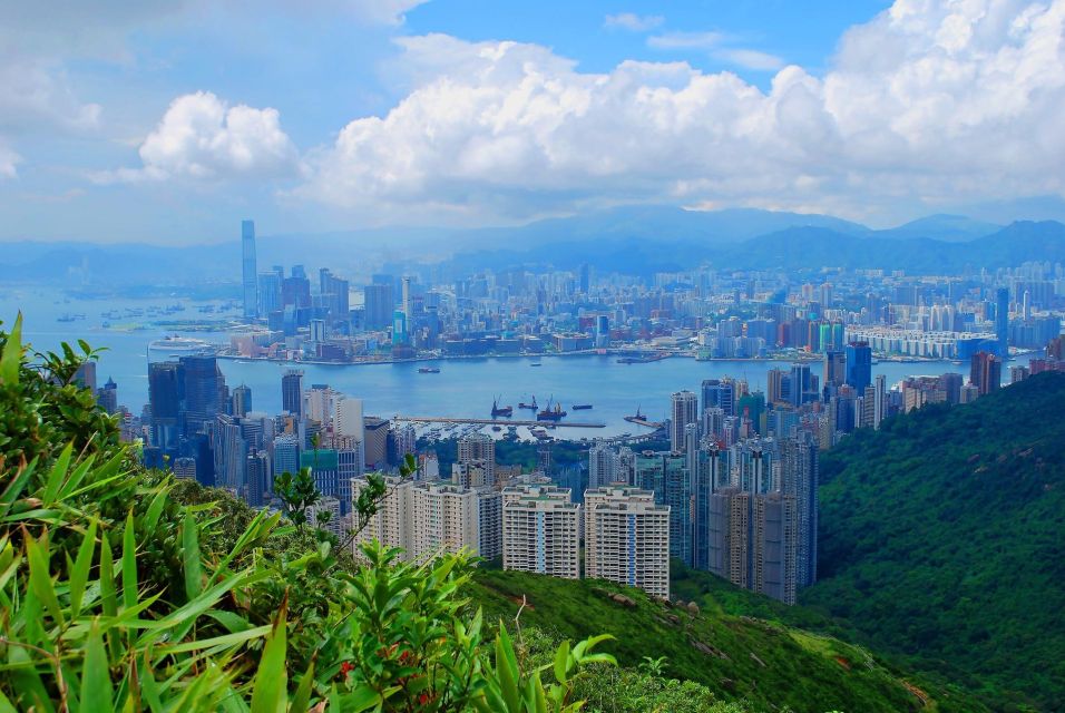 Hong Kong : Must-See Attractions Walking Tour - Mid-Level Escalator Journey