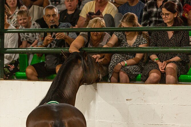 Horse and Flamenco Show in Malaga With Dinner - Booking and Pricing Details