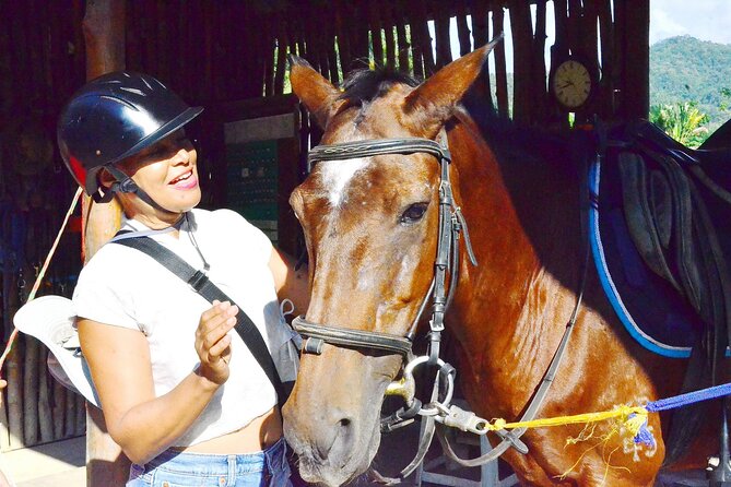 Horse Lesson+Riding+Wat Tonkwen Wooden Temple.Chiangmai - Participant Guidelines