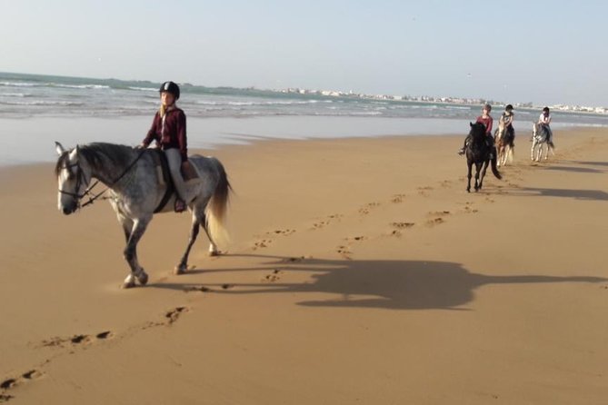 Horse Ride on the Beach in Essaouira - Customer Reviews