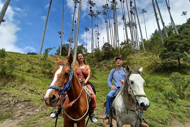 Horse Riding Cocora Valley - Expert Guides and Safety