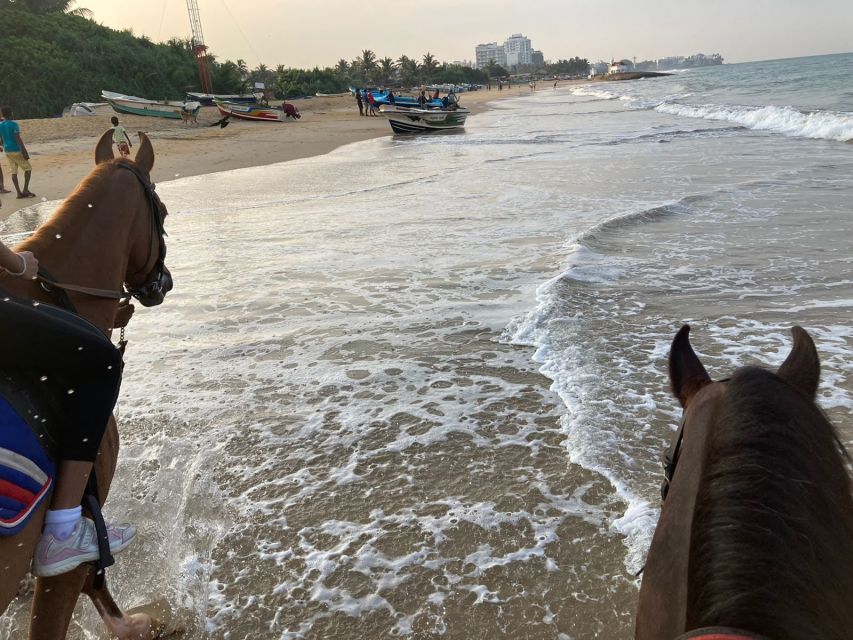 Horse Riding in Mount Lavinia - Suitability and Restrictions