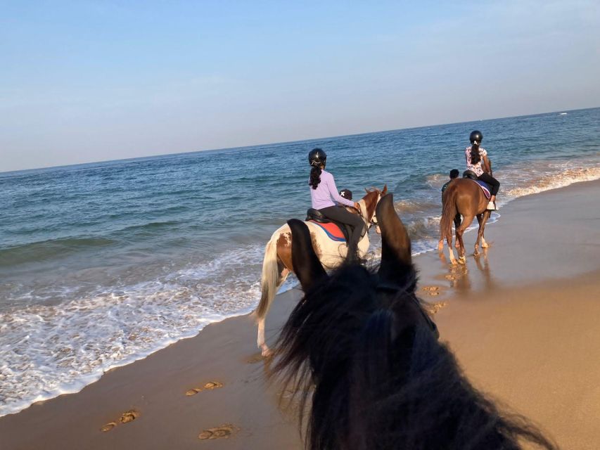 Horse Riding in Port City - Booking and Cancellation