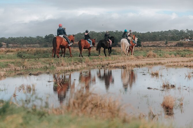 Horse Riding on the Beach With Private Transfer From Lisbon - Reviews and Feedback