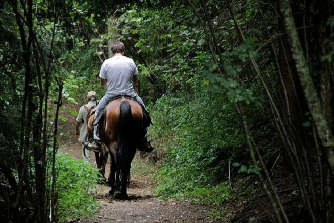 Horse Riding Small Group Near Lucca - Positive Customer Reviews