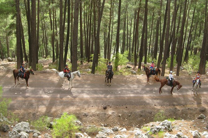 Horse Riding Tour in Bodrum With Hotel Pick up - Booking and Cancellation Policy
