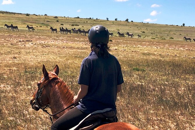 Horse Safari & Beach Ride Western Cape - Safety and Amenities