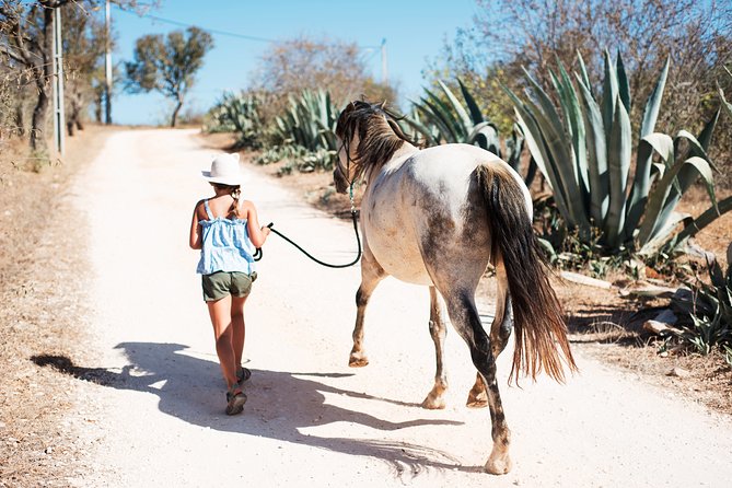 Horse Sanctuary: a Nature Walk With Rescued Horses by Your Side - Reviews and Ratings