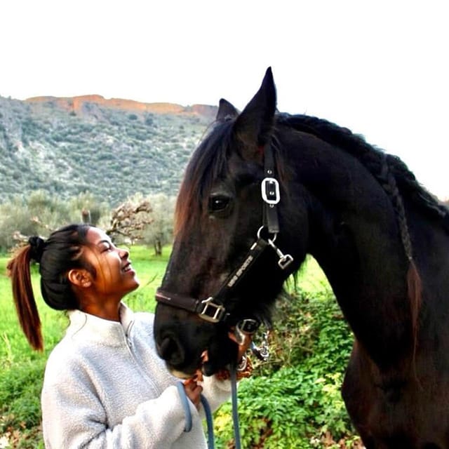 Horse Walking and Olive Oil Tasting - Unique Experience Features