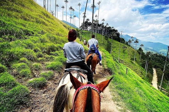 Horseback Riding and Excursion in Cocora Valley - Overview and Experience