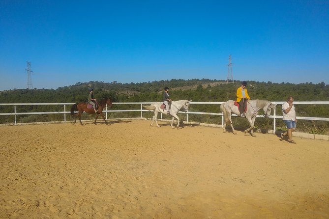 Horseback Riding and Wine Tour (Private Tour) - Booking Confirmation