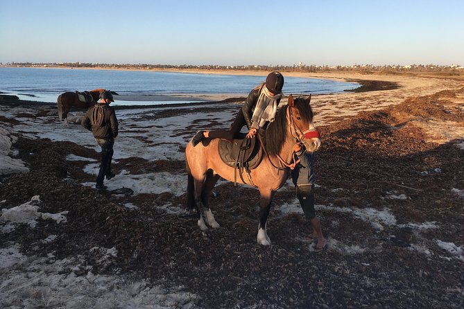 Horseback Riding at Sunrise 3h - Traveler Recommendations