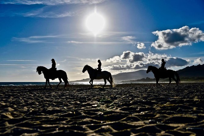 Horseback Riding by the Beach or Mountain in Tarifa, Spain - 1 to 2 Hrs - Customer Satisfaction and Feedback