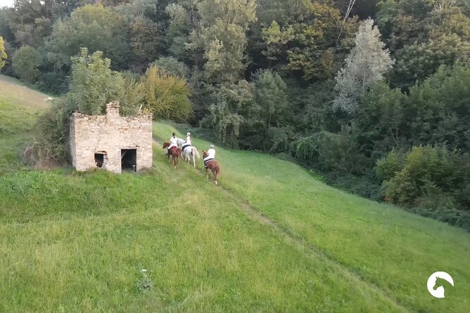 Horseback Riding for Experts Between the Lake and the Mountains - Customer Support and Inquiries