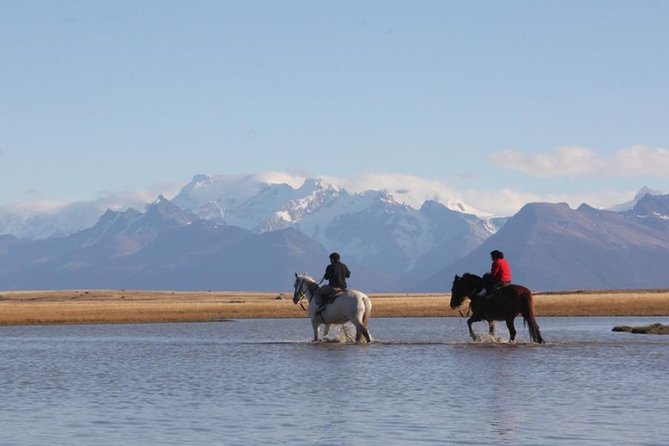 Horseback Riding in Calafate - Group Size and Accessibility