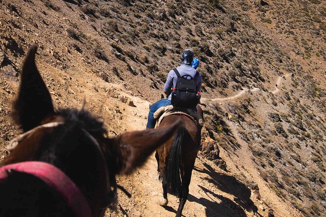 Horseback Riding in the Andes - Start Time