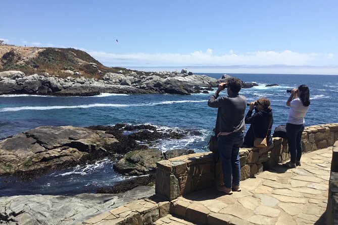 Horseback Riding on Beach, Winery, Alpacas, Penguins & Cowboybbq - Cowboy BBQ