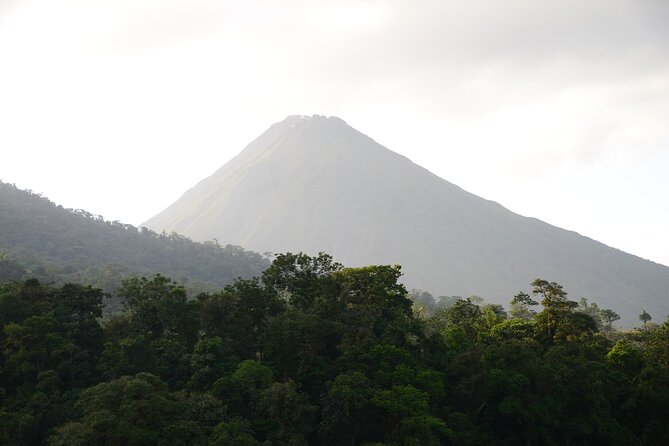 Horseback Riding to La Fortuna Waterfall - Wildlife Encounters