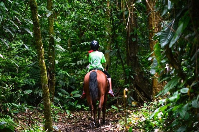 Horseback Riding to the Volcano at Arenal Wilberth Stable - Preparing for the Tour