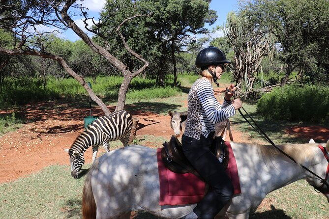 Horseback Safari Adventure in Hartbeespoort From Johannesburg - Health and Accessibility Considerations