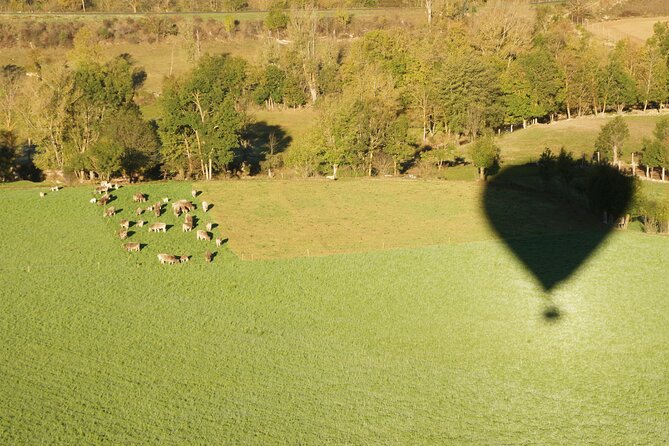 Hot Air Balloon Barcelona Flight - Customer Feedback and Ratings