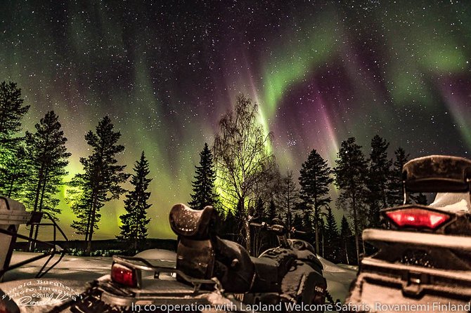 Hunting Northern Lights by Snowmobiles - Cancellation and Policy Considerations